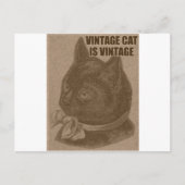 Olde LOLcat Postkarte (Vorderseite)