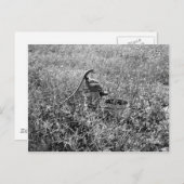 Olden Day Pump Postkarte (Vorne/Hinten)