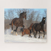 Oldenburg und Hanoverian Mares im Schnee Puzzle (Horizontal)