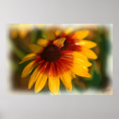 ÖLDRUCK DER BLUME POSTER (Vorne)