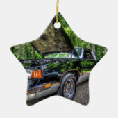 Olds 1987 442 keramikornament (Vorne)
