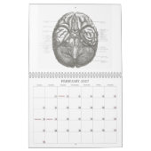 OldSchool Anatomie Kalender (Feb 2027)