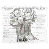OldSchool Anatomie Kalender (Titelbild)