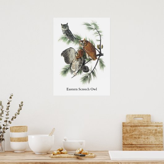 Oldtimer, John Audubon Poster (Küche)