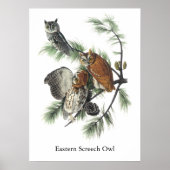 Oldtimer, John Audubon Poster (Vorne)