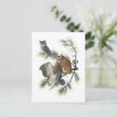 Oldtimer von Audubon Postkarte (Stehend Vorderseite)