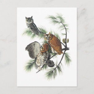 Oldtimer von Audubon Postkarte