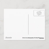 OldWest, Fort Worth Stockyards Bar Postkarte (Rückseite)