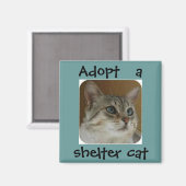 Ole Blue Eyes Magnet (Vorderseite/Rückseite)