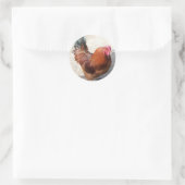 Ole Red Rooster Runder Aufkleber (Tasche)