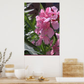 Oleander Art Poster -24x36 - andere Größen verfügb (Küche)