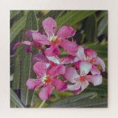 Oleander Blume Jigsaw Puzzle (Horizontal)