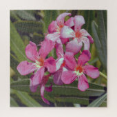 Oleander Blume Jigsaw Puzzle (Vertikal)