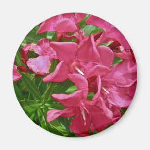 Oleander-Blüten und Berries-Koordinaten Magnet