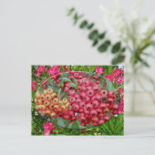 Oleander-Blüten und Berries-Koordinaten Postkarte (Stehend Vorderseite)