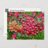 Oleander-Blüten und Berries-Koordinaten Postkarte (Vorne/Hinten)