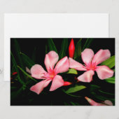 Oleander Briefpapier (Vorne/Hinten)