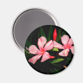 Oleander Magnet (Vorderseite/Rückseite)