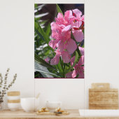 Oleander Poster -24x36 -andere Größen verfügbar (Küche)
