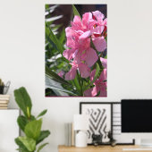 Oleander Poster -24x36 -andere Größen verfügbar (Heimbüro)