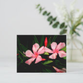 Oleander Postkarte (Stehend Vorderseite)