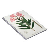 Oleander von "Phytographie Medicale" durch Notizblock (Rechte Seite)