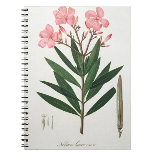 Oleander von "Phytographie Medicale" durch Notizblock (Vorderseite)
