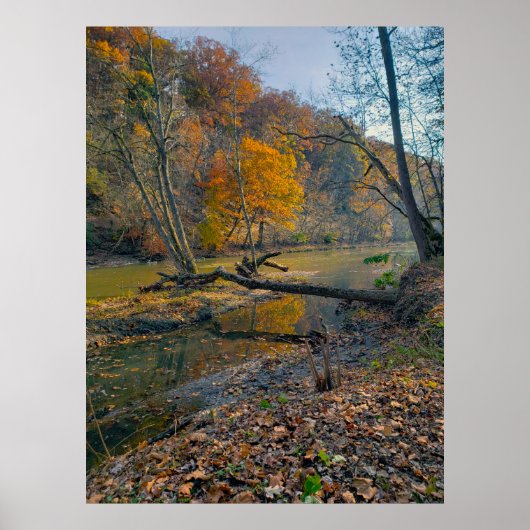 Olentangy River in Herbst, Highbanks Metro park, O Poster (Vorne)