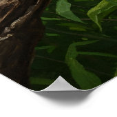 Ölgemälde für Scarlet Macaw Poster (Ecke)