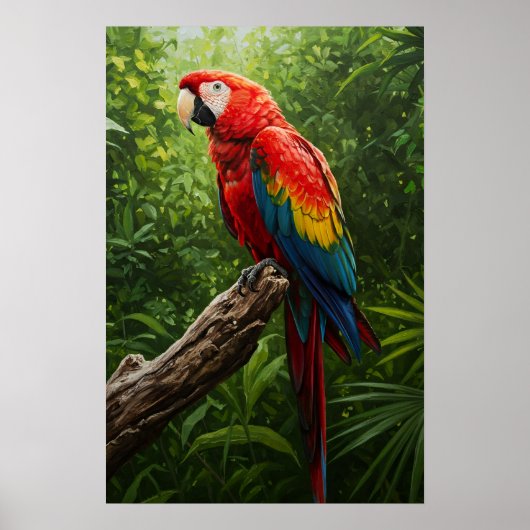 Ölgemälde für Scarlet Macaw Poster (Vorne)