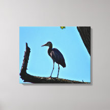 Ölgemäldeart Große blaue Heron-Leinwand