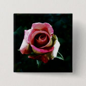 Ölgemalte Rose Button (Vorderseite)