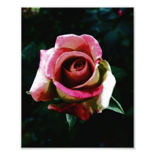 Ölgemalte Rose Fotodruck
