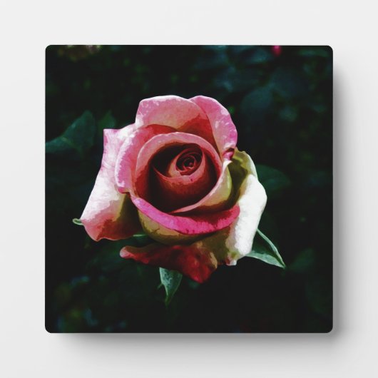Ölgemalte Rose Fotoplatte (Vorderseite)