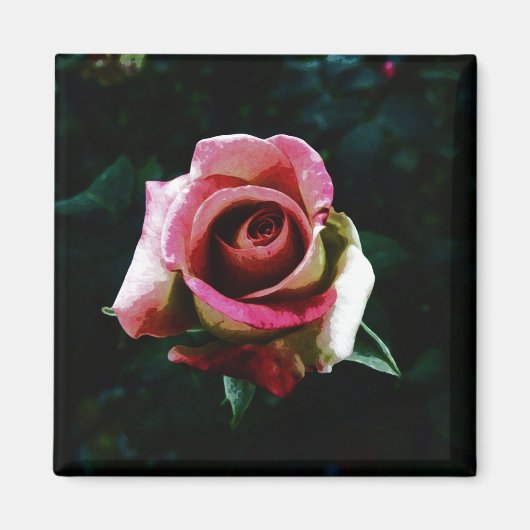 Ölgemalte Rose Magnet (Vorne)