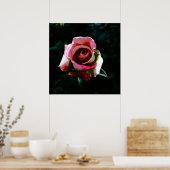 Ölgemalte Rose Poster (Küche)