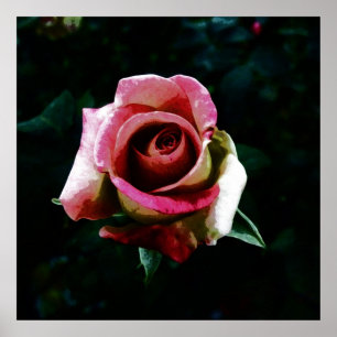 Ölgemalte Rose Poster