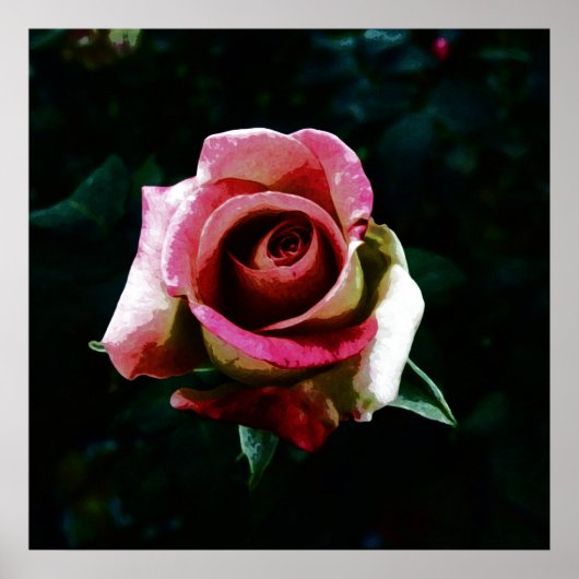 Ölgemalte Rose Poster (Vorne)