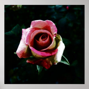 Ölgemalte Rose Poster