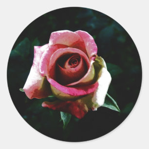 Ölgemalte Rose Runder Aufkleber