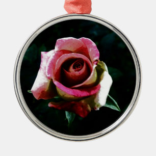 Ölgemalte Rose Silbernes Ornament