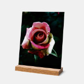 Ölgemalte rote Rose Acrylschild (Winkel)