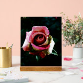 Ölgemalte rote Rose Acrylschild (Hochzeit)