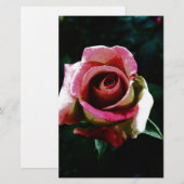 Ölgemalte rote Rose Briefpapier (Vorne/Hinten)