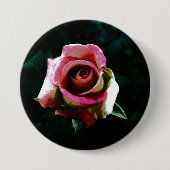 Ölgemalte rote Rose Button (Vorderseite)