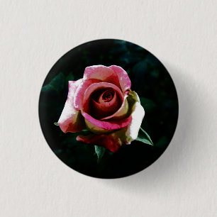 Ölgemalte rote Rose Button