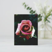 Ölgemalte rote Rose Feiertagspostkarte (Stehend Vorderseite)