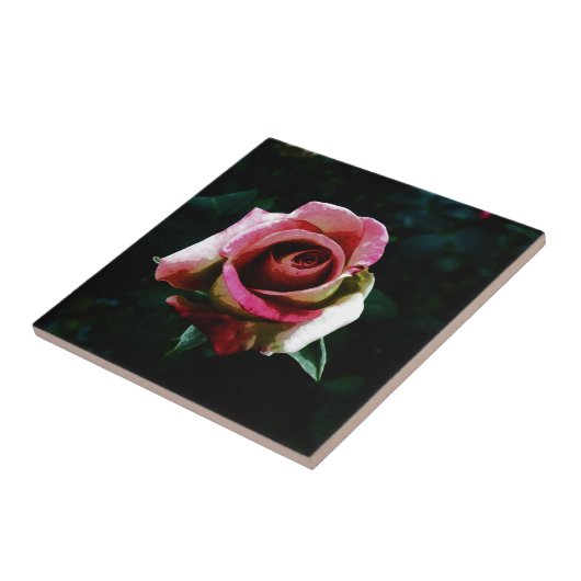 Ölgemalte rote Rose Fliese (Seite)