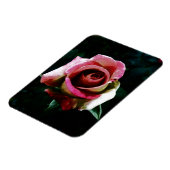 Ölgemalte rote Rose Magnet (Linke Seite)