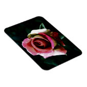 Ölgemalte rote Rose Magnet (Rechte Seite)
